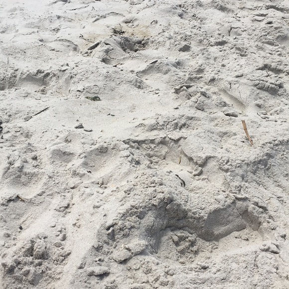 Lilly Pulitzer Other - ADDING NEW STUFF SOON!